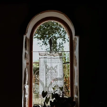 Bed & Breakfast Villanath